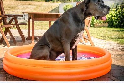 Die erste Hitzewelle des Jahres … und immer wieder das Gleiche