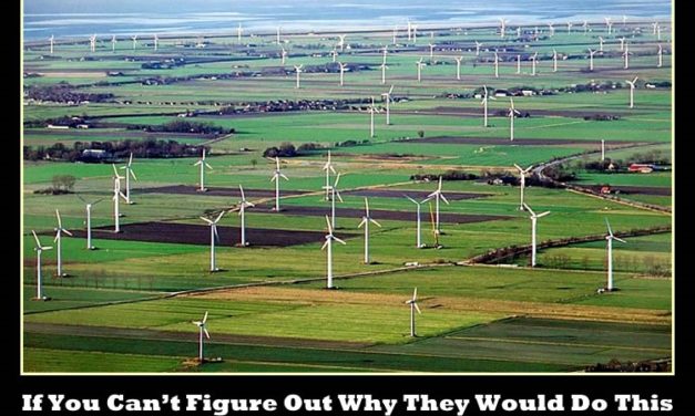 Wer möchte Windturbinen haben?