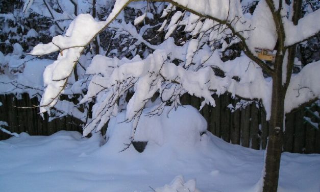Eine Weihnachtswettergeschichte über das Winterwetter in der Geschichte