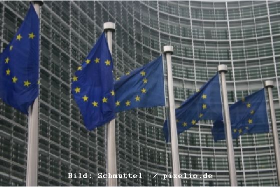 Grüne Lobby erbost: „EU-Führer verabschieden sich von Umweltpolitik“
