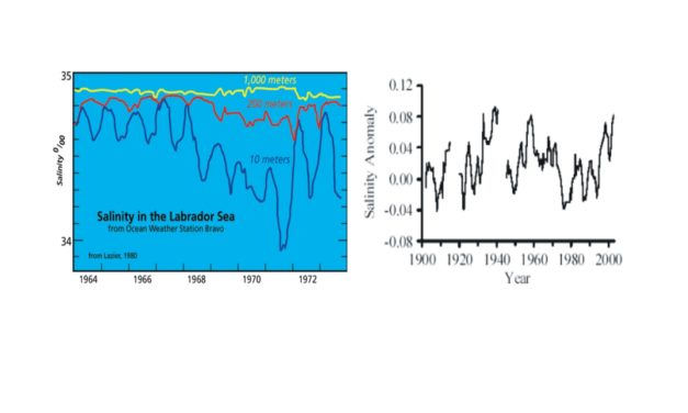 Droht unseren Ozeanen die Übersäuerung durch den CO2 Anstieg?