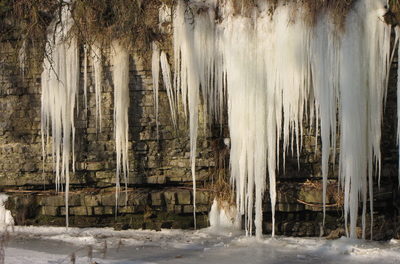 Eiszeiten begannen mit hohem CO₂-Gehalt in der Luft