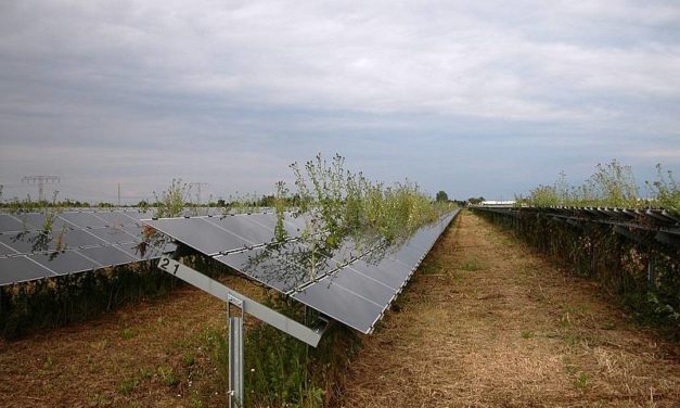 Vom Winde verweht-Im Schatten trotz Sonne?