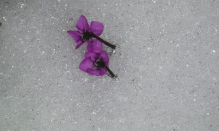 Bemerkungen zur April-Kältewelle in Mitteleuropa