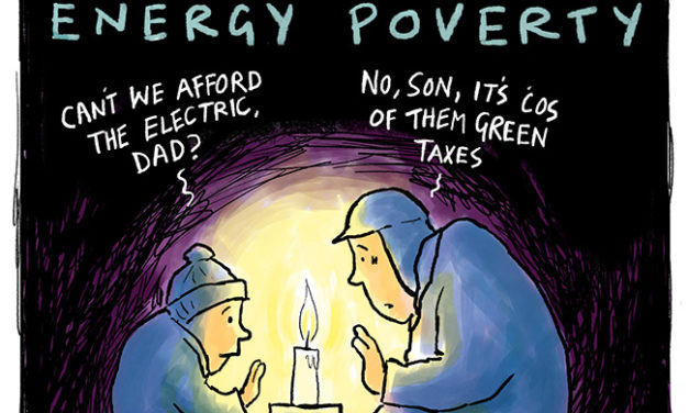 Die grünen Energievernichter