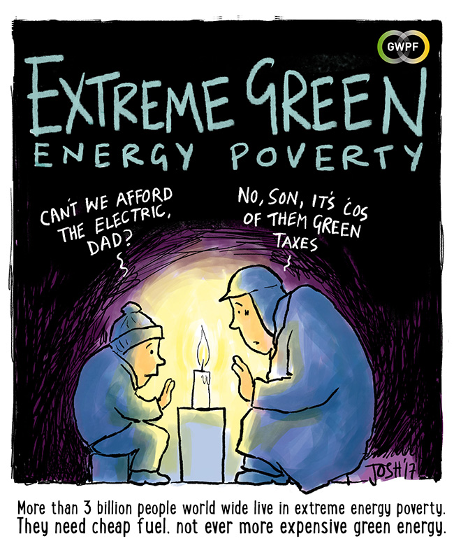Die grünen Energievernichter
