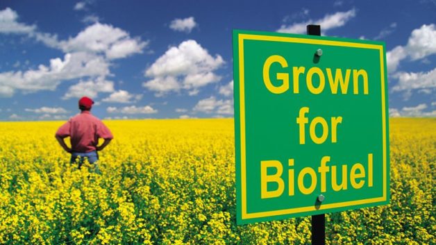 Rechtferti­gungen für Biotreib­stoff sind illusorisch