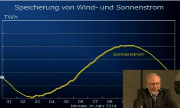 WIEVIEL ZAPPELSTROM VERTRÄGT DAS NETZ? – Hans-Werner Sinn – Vernichtendes Urteil über Energiewende