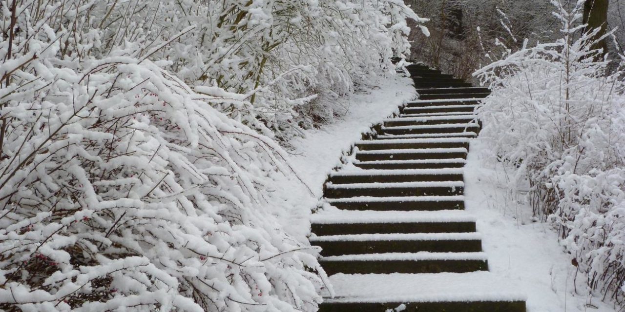 Januar: Immer milder und schnee&shy;ärmer in Deutsch&shy;land?
