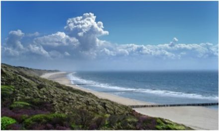 Meeresspiegel-Hysterie: Spekulationen vs. Fakten