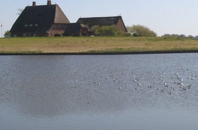 Nun holt sich der Klimawandel auch die deutsche Nordseeküste