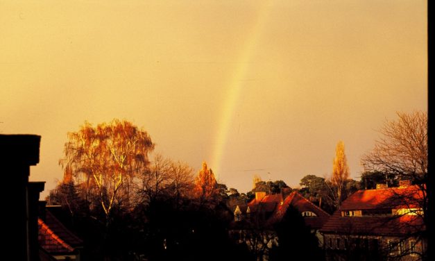 Der Mythos vom gefährlichen sauren Regen