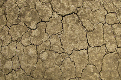 BEHAUPTUNG: Der Klimawandel wirkte bis in die Vergangenheit hinein und führte zum Zusammenbruch der Zivilisationen der Bronzezeit