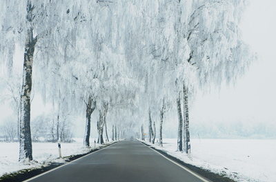 Wir sollten jetzt die realen und nachteiligen Folgen von Abkühlung fürchten