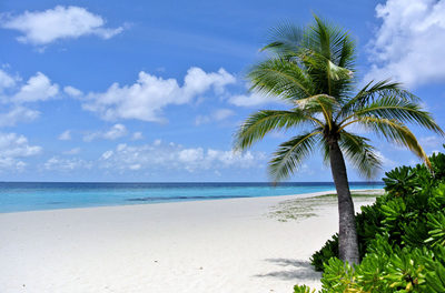 Behauptungen bzgl. „untergehender Inseln“ gehen unter