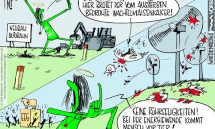 Windenergie: Ein Realitäts-Check
