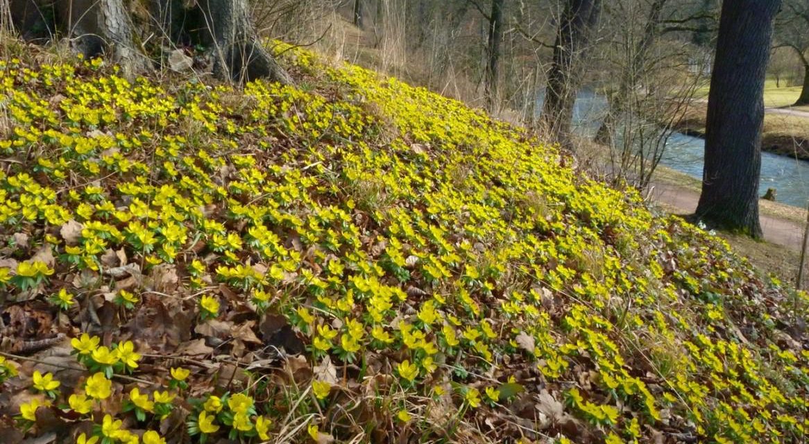 Zeitweise milder, sonniger Februar in Deutsch­land – ein ungewöhn­liches Ereignis?