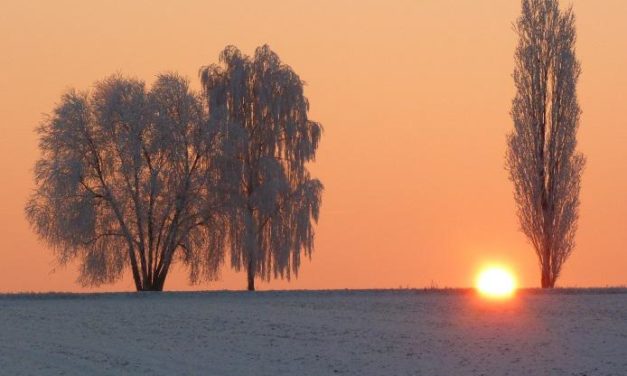 Der Januar kennt keine Klimaer­wärmung: Der Hochwinter­monat wird seit über 30 Jahren wieder kälter