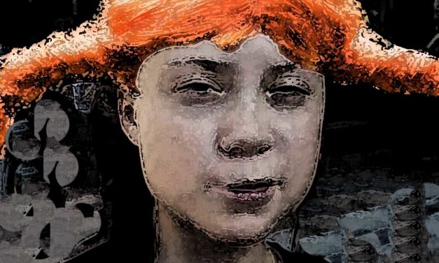 Fridays for Future – unsere Jugend wird betrogen