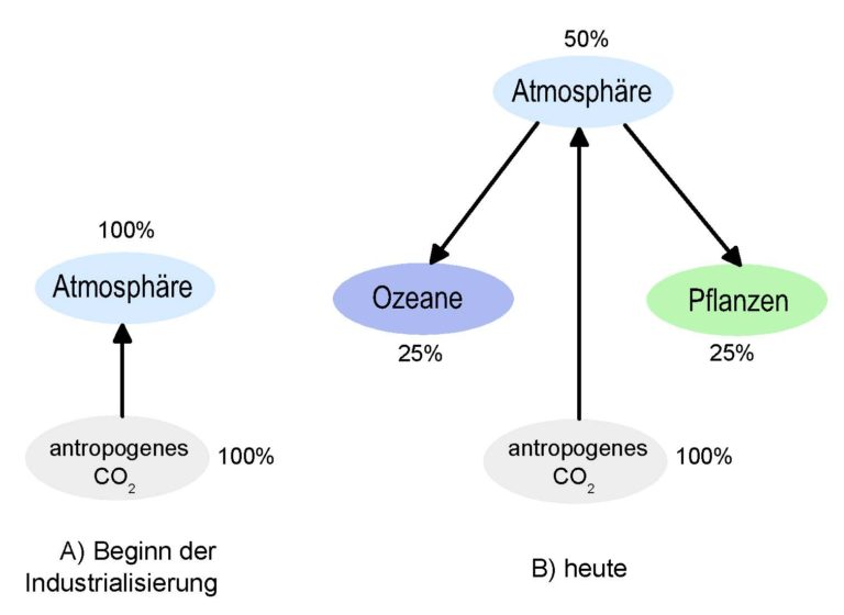 Was Sie Schon Immer über CO2 Wissen Wollten: Teil 3 – Der Globale CO2 ...