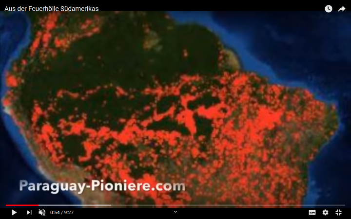 Regenwald-Schwindel: Klöckner will Einfuhrzölle für Brasilien erhöhen, Sozialist Morales von Kritik verschont