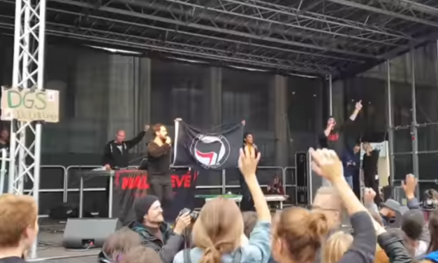 Fridays For Future in Hamburg – Antifa greift an