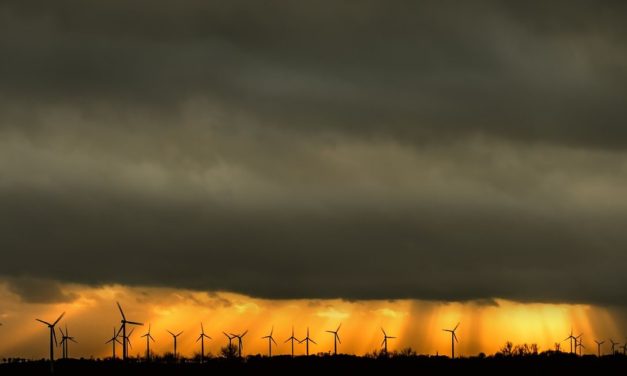 Artenschutz vs. Windkraft-Branche: eine Petition