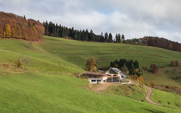 Dreist und rücksichtslos: Baerbock kritisiert geplante Abstandsregeln für Windkraftanlagen