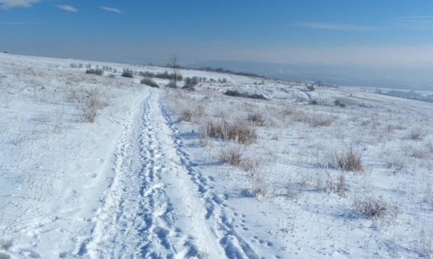 Winter 2019/20 – Hoffen auf späte Kälte durch Zirkulations­störungen?
