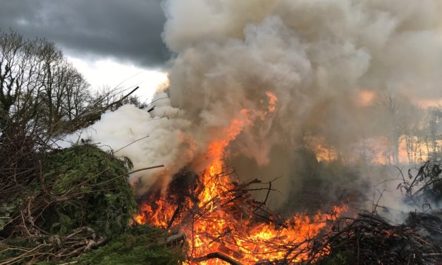 Ungewöhnlich niedrige Zahl von Flächenbränden – Studie: Ein Defizit