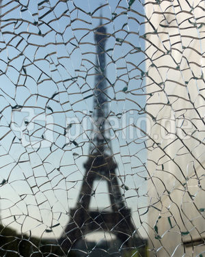 Die Fehler von Paris*