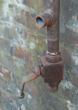 Politiker die sich von solchen Personen beraten lassen, können (und wollen) nie klug werden