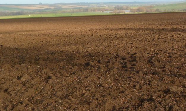 Winter 2019/20 – jetzt wird abgerechnet