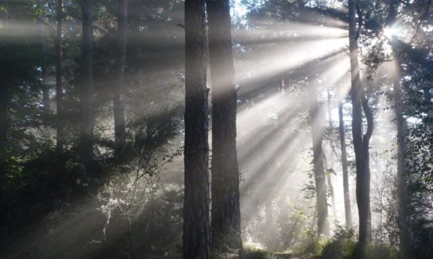 Immer mehr Aprilsonne über Deutschland – Fakten und Hintergründe