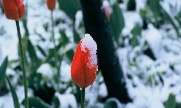 Der April wurde durch einen Temperatur&shy;sprung im Jahre 2007 wärmer.