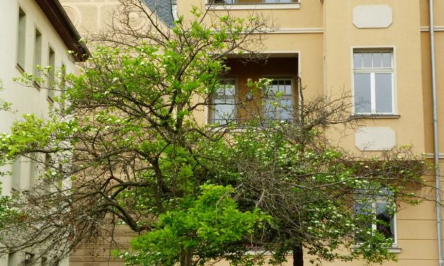 Frühling: Auf der Suche nach der verlorenen Jahreszeit