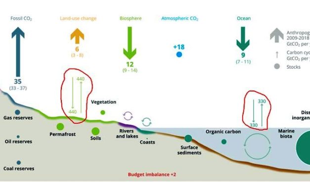 Der globale Kohlenstoff-Haushalt: schöne Zahlen, vorge&shy;täuschtes Vertrauen, aber höchst fragwürdig (Teil 3)