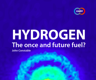 Warum der „grüner-Wasserstoff“-Hype in Europa wahrschein­lich ein Flop wird