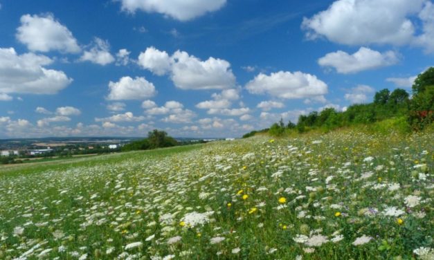 Sommer am Limit – wann endet die sommerliche Erwärmung in Deutschland?