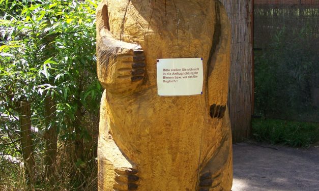 Ich, der Corona-Erklärbär