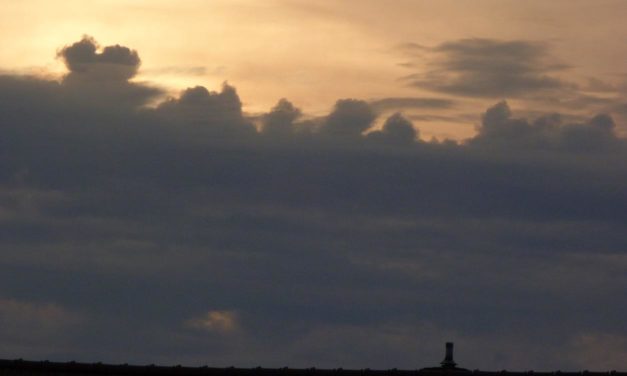 Im Würgegriff der zirkulations&shy;armen Wetterlagen – die August&shy;hitze 2020, deren Besonder&shy;heiten und Folgen