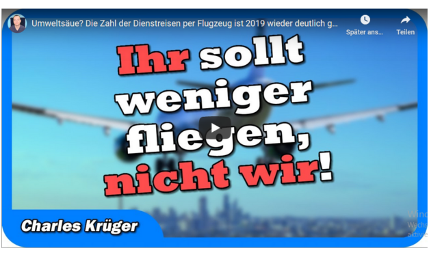 „Umweltsäue?“ Die Zahl der Dienstreisen per Flugzeug ist 2019 wieder deutlich gestiegen