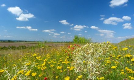 Klima-Eil-Information zum Spätsommer 2020: Neuer Häufigkeits&shy;rekord der Tage mit zirkulations&shy;armen, unbe&shy;stimmten Wetter&shy;lagen – Windstrom&shy;erzeugung bricht regelrecht ein