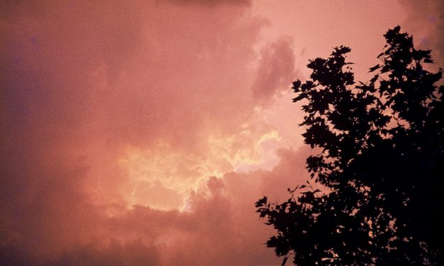 Zur Fragwür&shy;digkeit der Gründe für den angeb&shy;lichen anthropo&shy;genen CO<sub>2</sub>-Anstieg in der Atmosphäre und seinen möglichen Einfluss auf das Klima