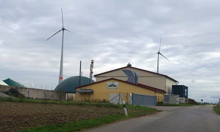 Die versteckten Kosten von „100 Prozent erneuerbaren Energien“