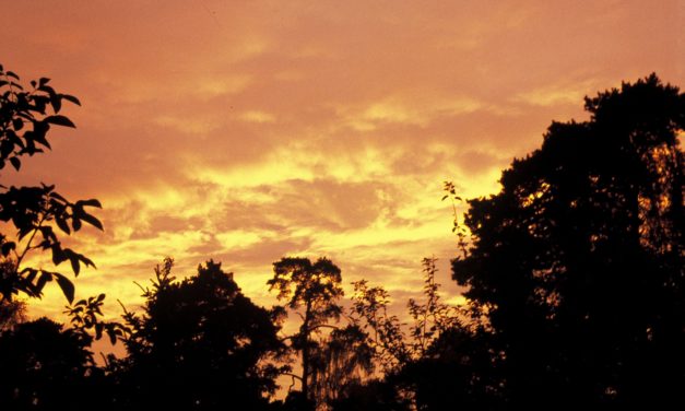 Die falschen Klima-Experimente