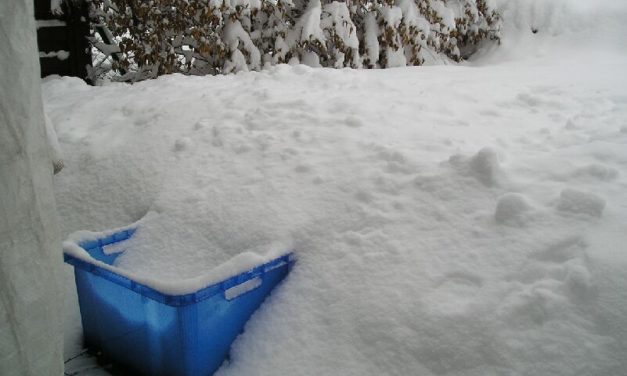 „Globale Abkühlung wird uns alle umbringen“