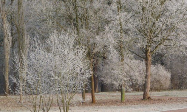 Winter 2020/21 – darf es diesmal etwas kälter sein?