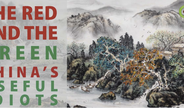 Die grünen NGO-Klimapropaganda-Stoßtruppen von China