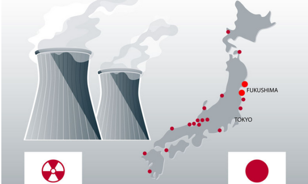 Das Kernkraft­werk Fukushima hat den härtesten Sicherheits­test der Natur bestanden